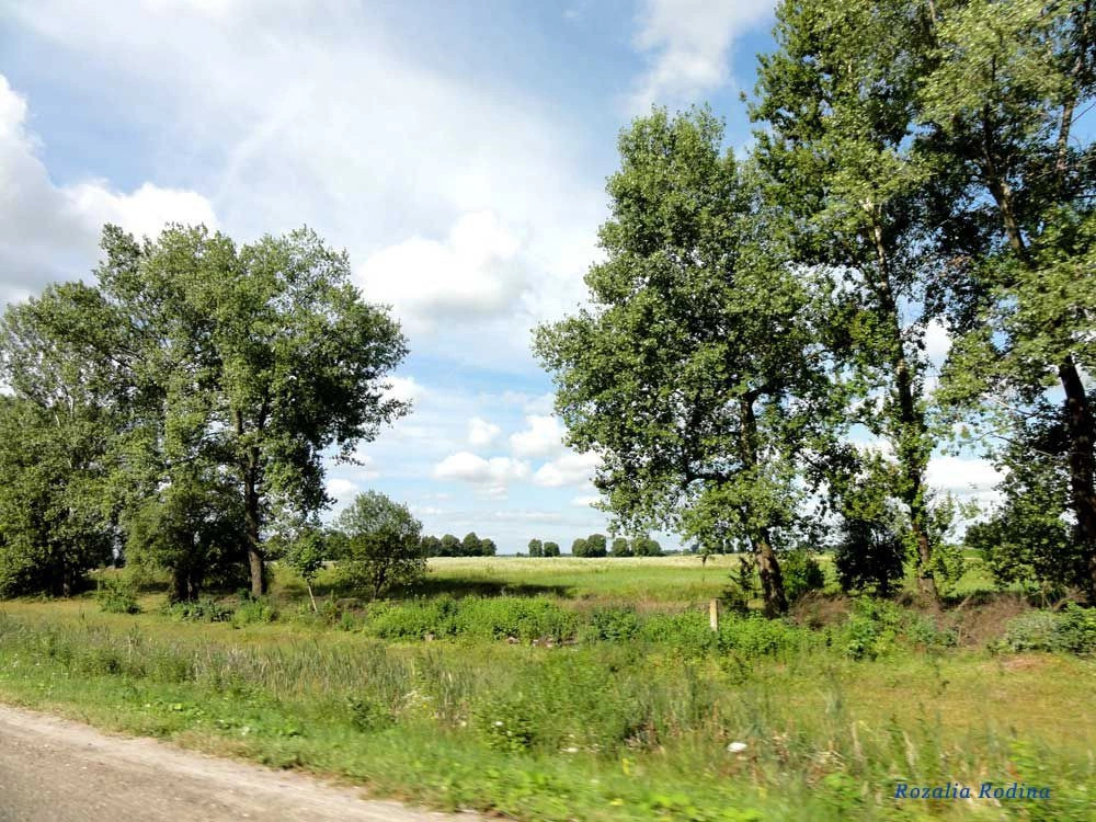 Николаевский район (Львов.)