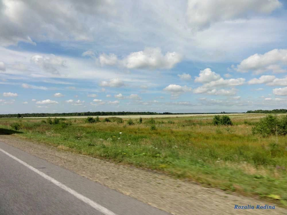 Николаевский район (Львов.)