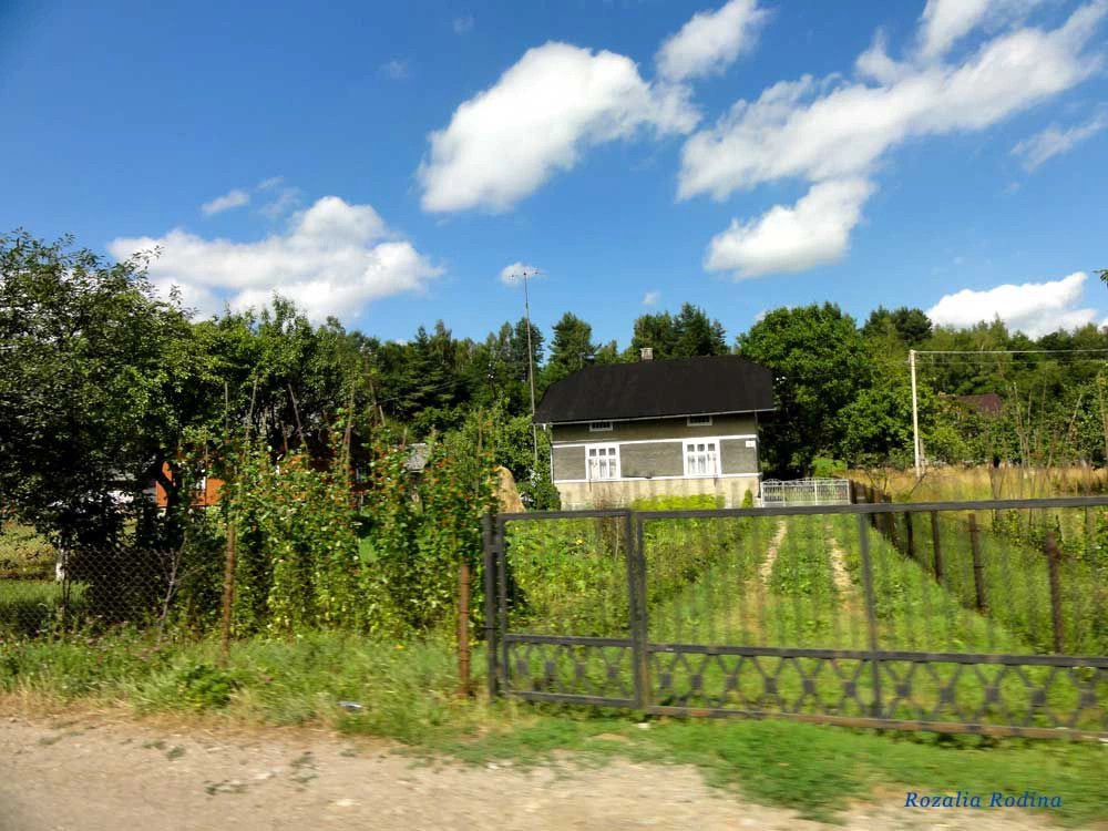 Верхнее Синевидное