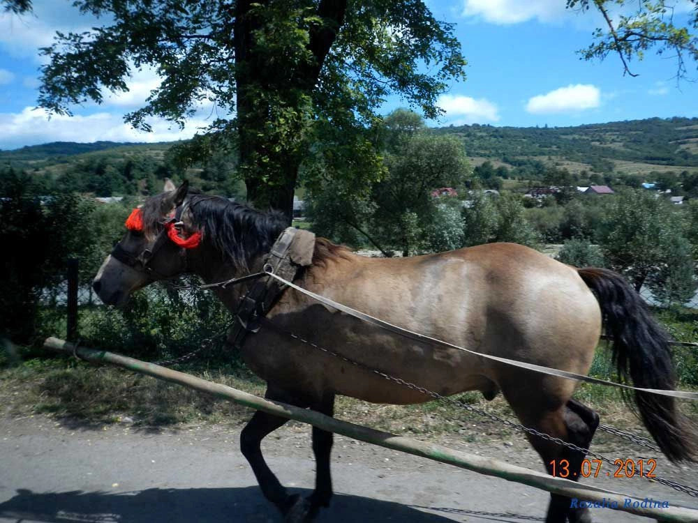 Крушельница