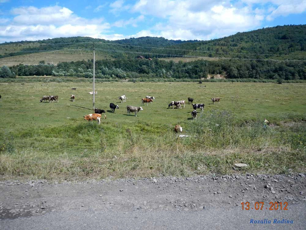 Крушельница