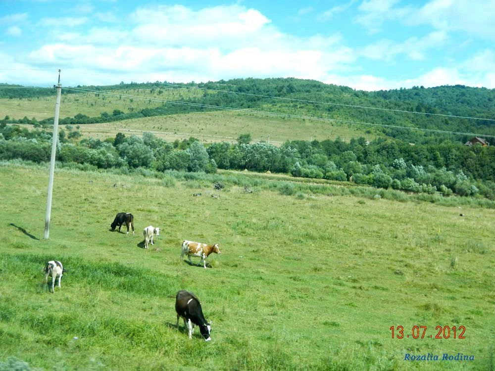 Крушельница