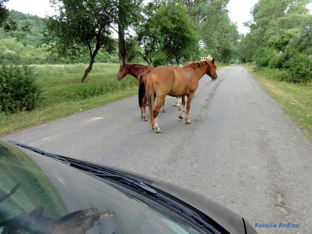 Крушельница