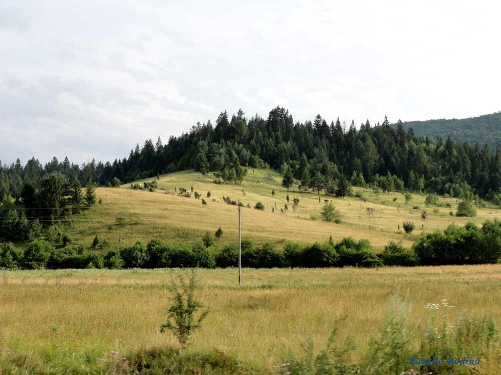 Крушельница