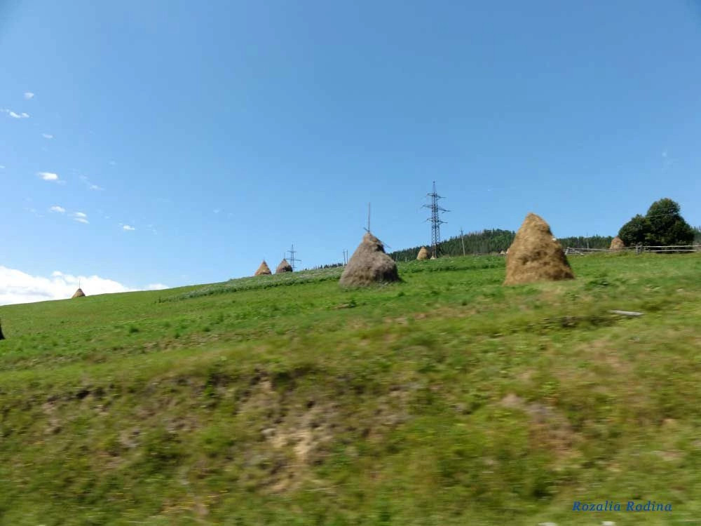 Плавья