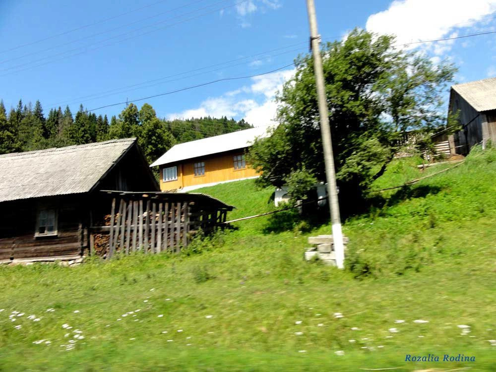 Плавья