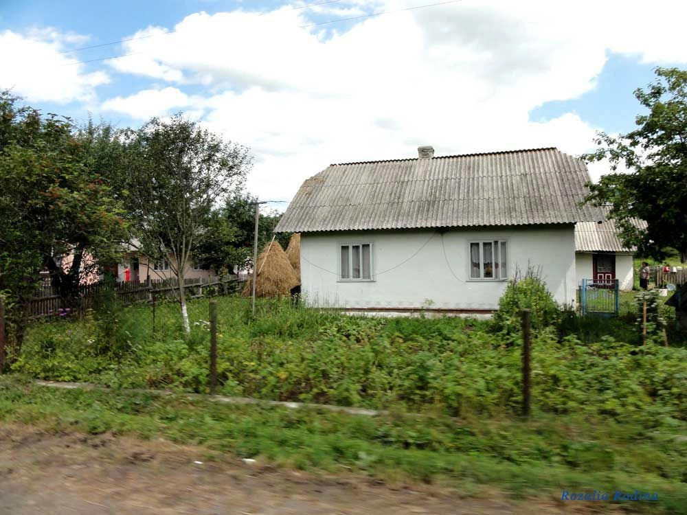Подгородцы