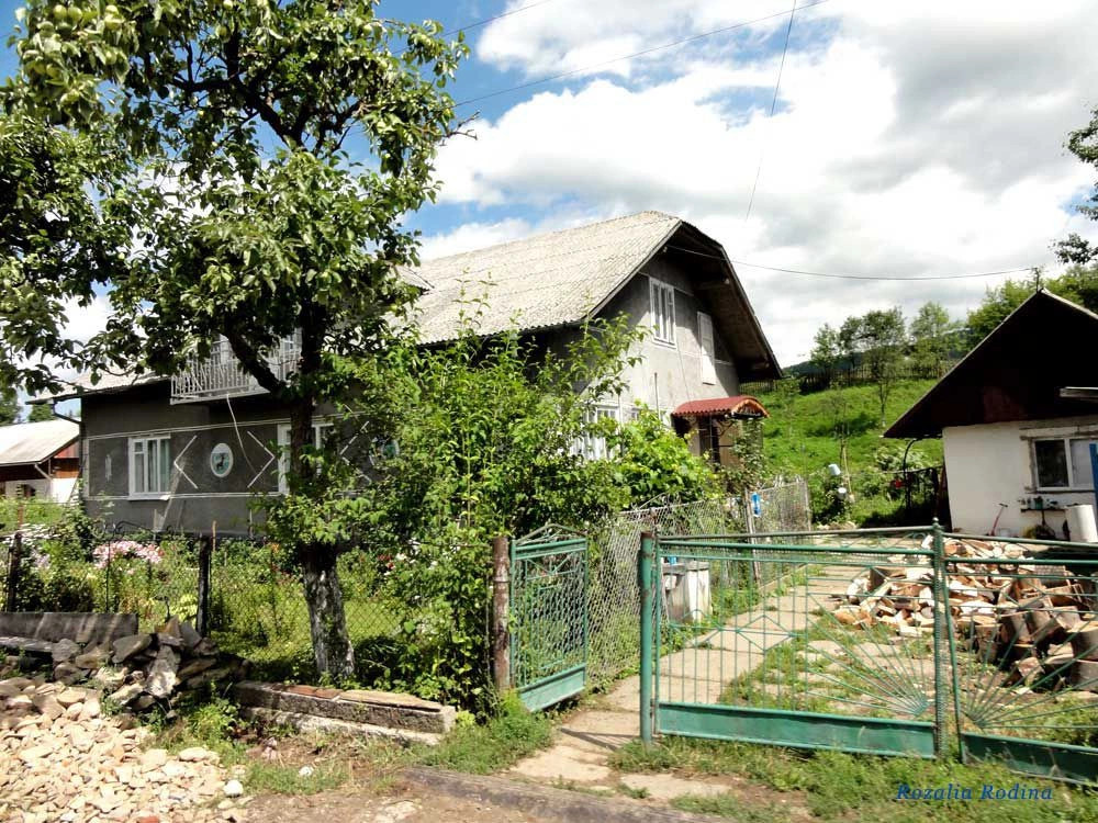 Подгородцы