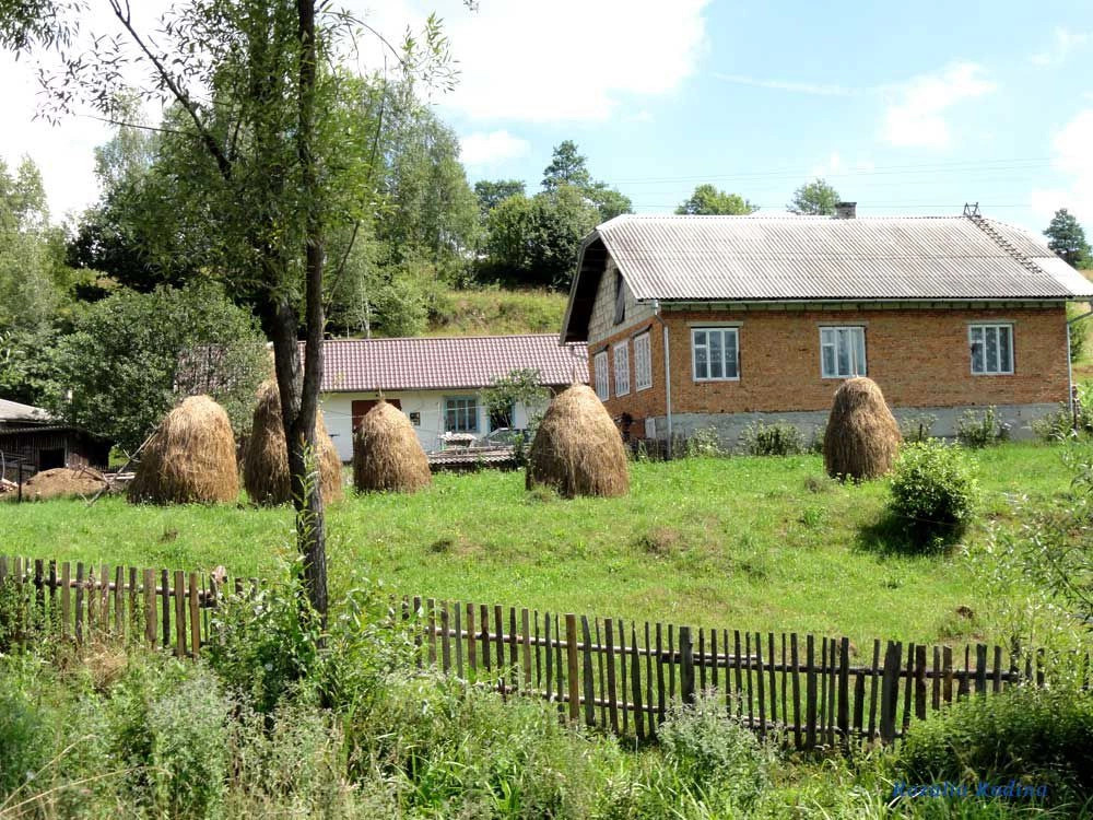Подгородцы