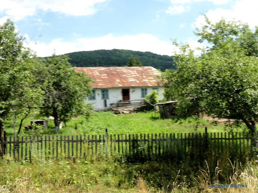 Подгородцы