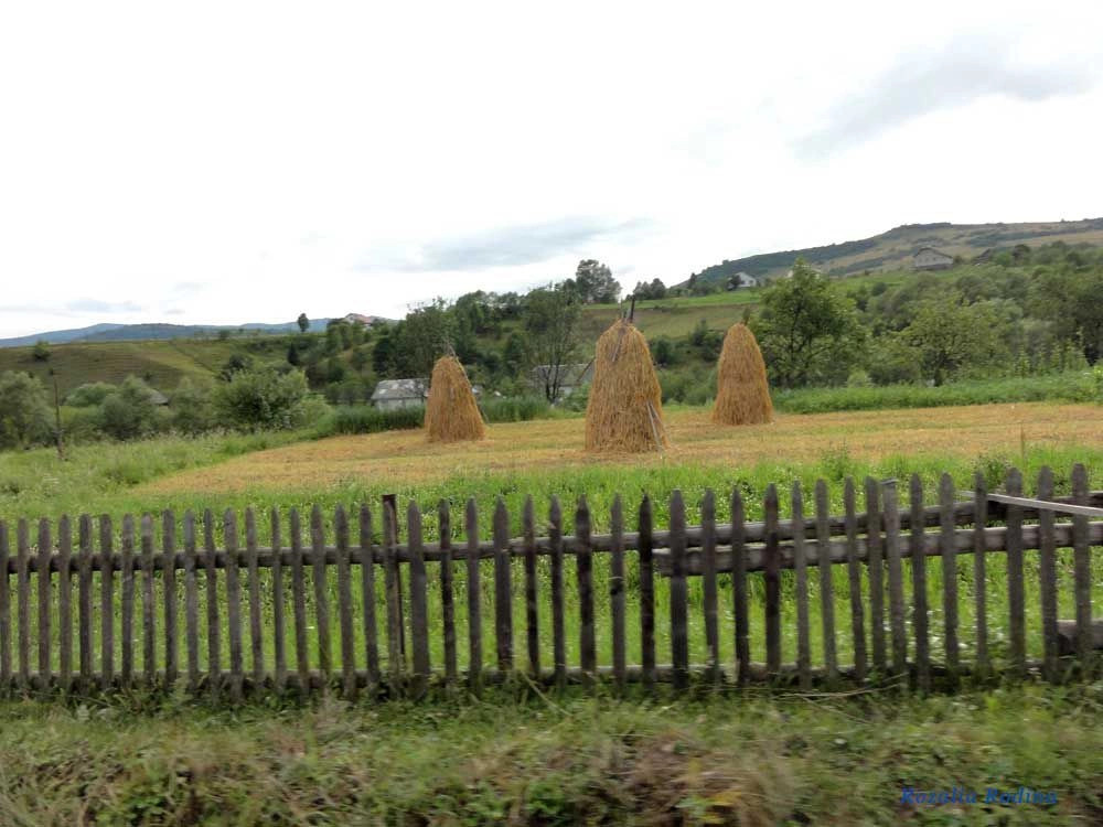 Подгородцы