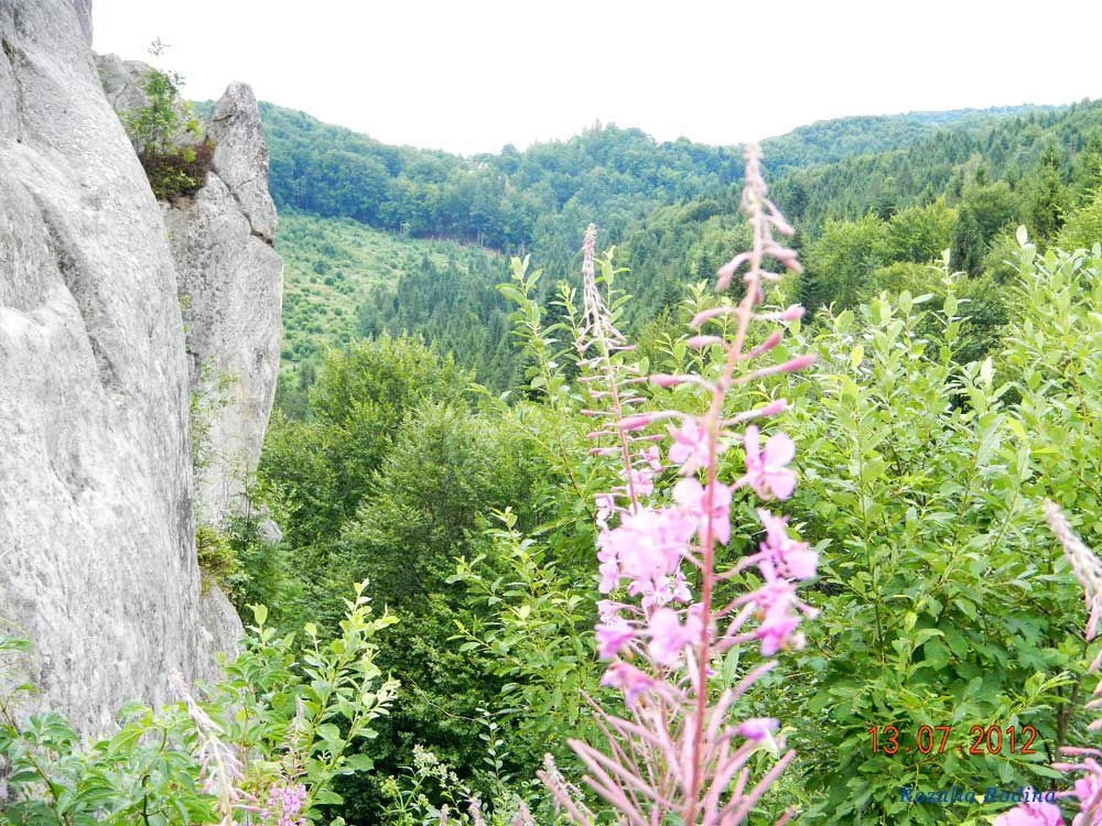 Урыч
