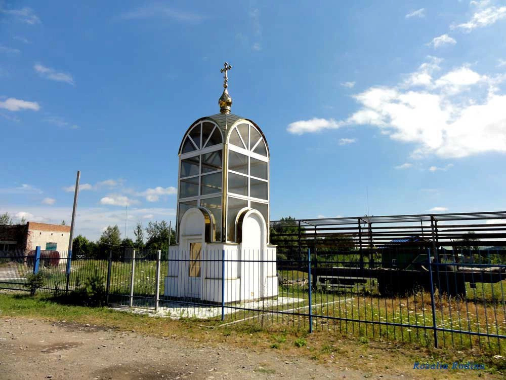 Дубина (Сколевский р-н)