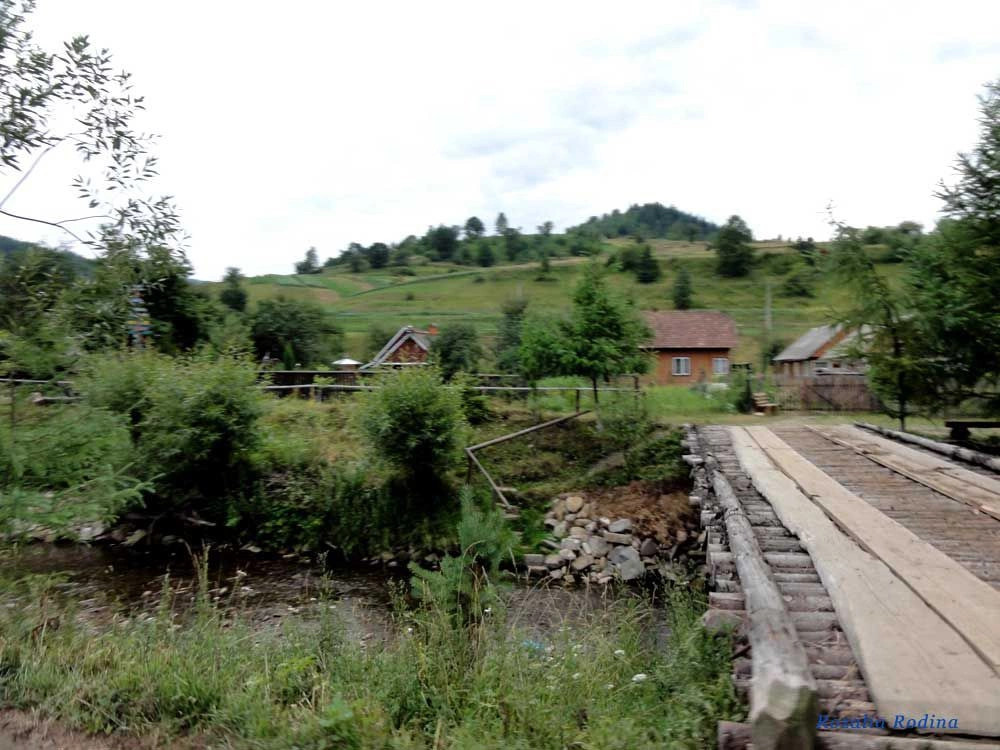 Каменка (Сколевский р-н)