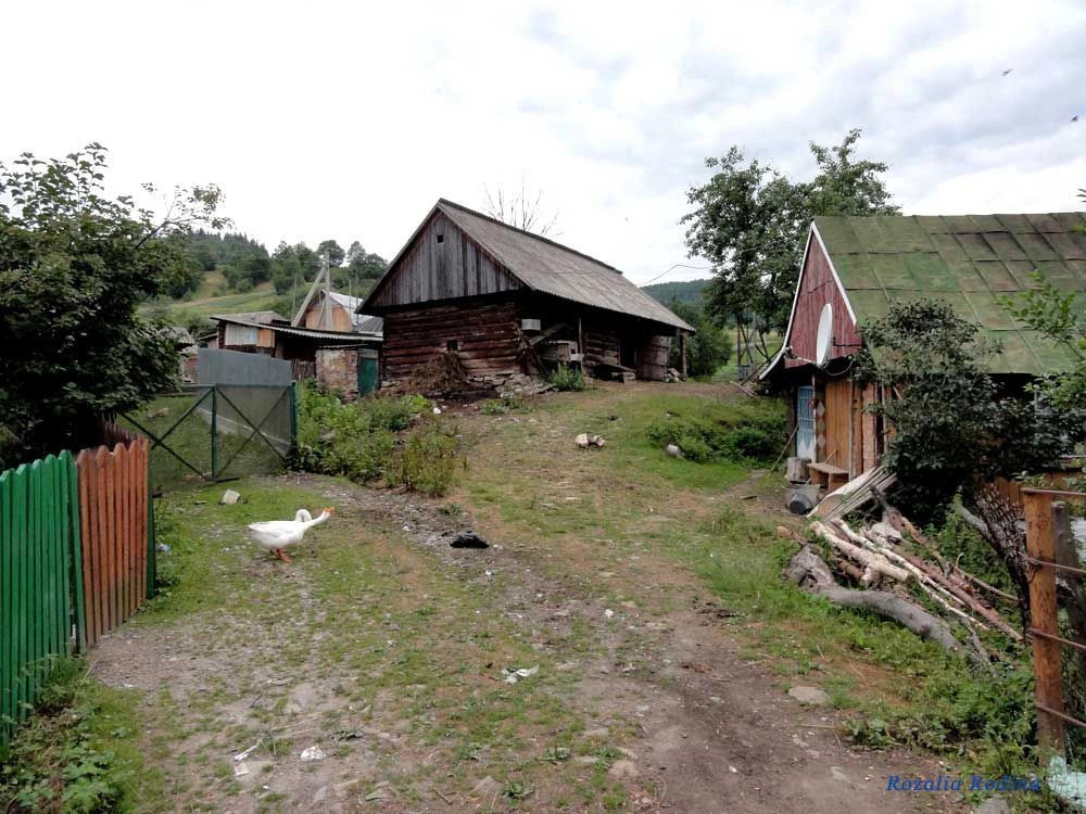 Каменка (Сколевский р-н)