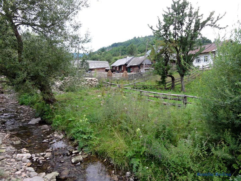 Каменка (Сколевский р-н)