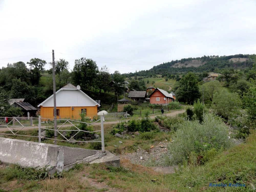Каменка (Сколевский р-н)