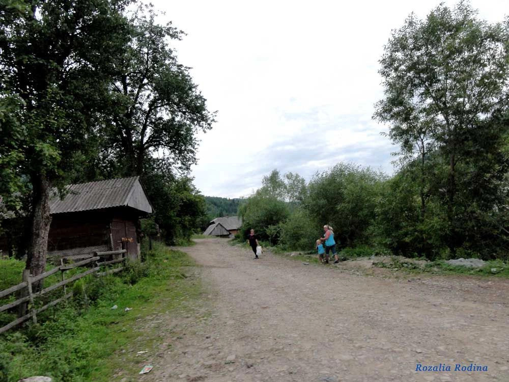 Каменка (Сколевский р-н)