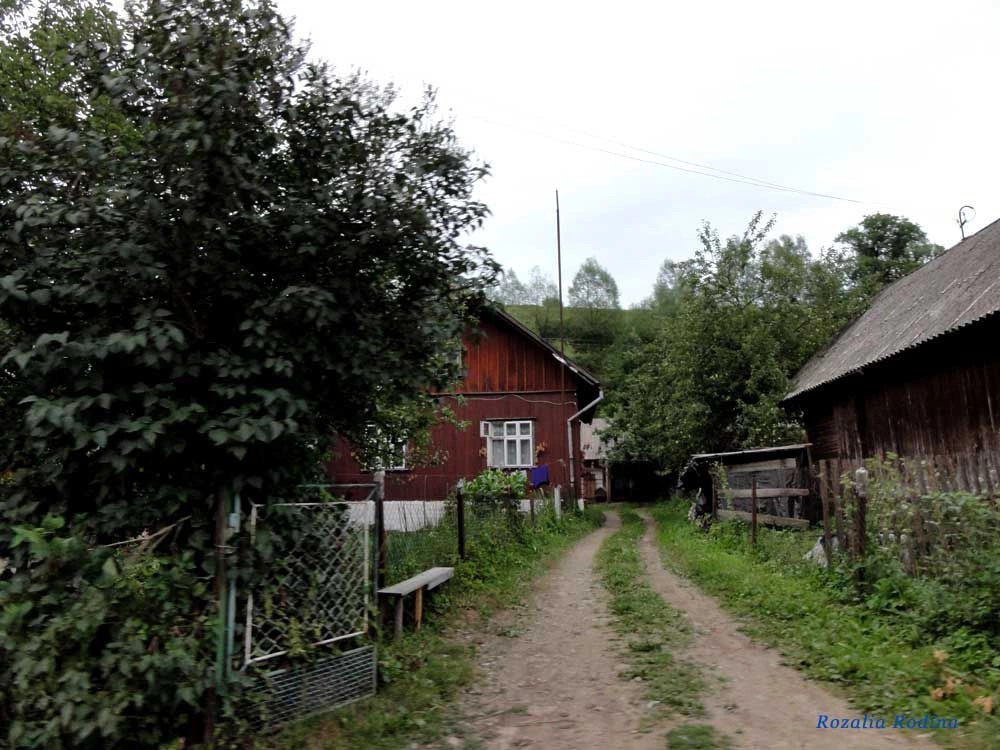 Каменка (Сколевский р-н)