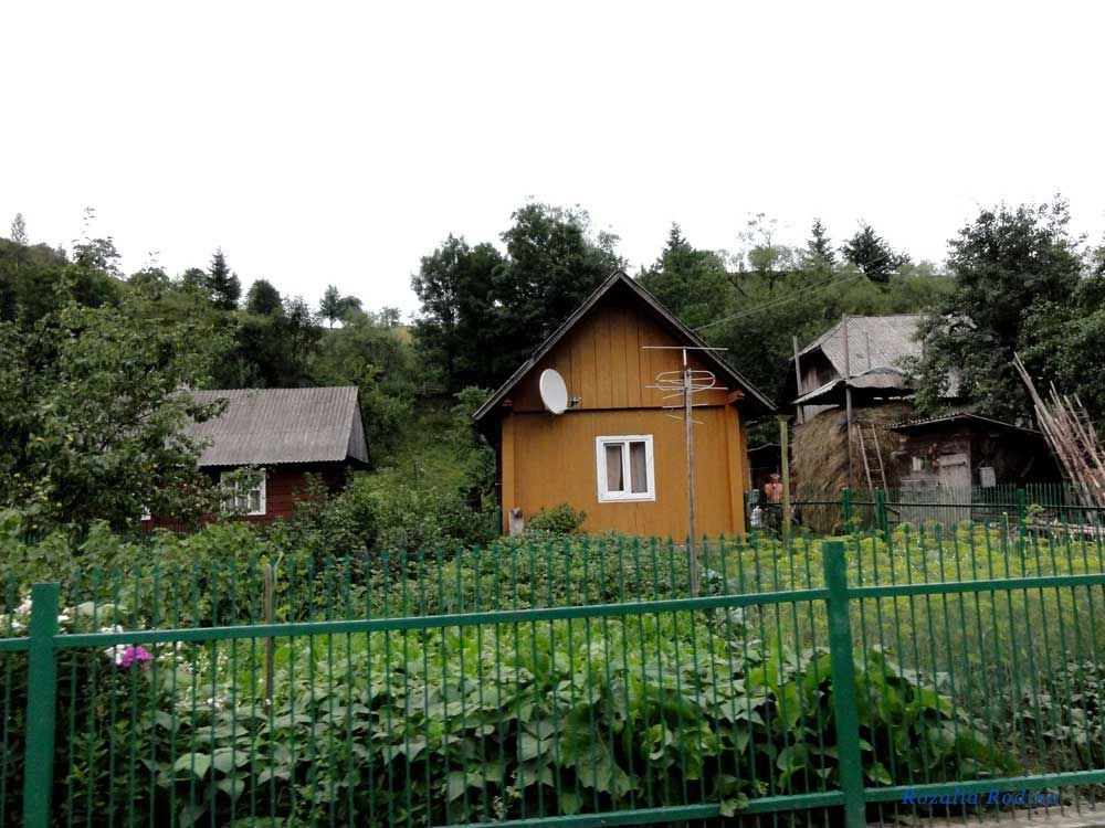 Каменка (Сколевский р-н)