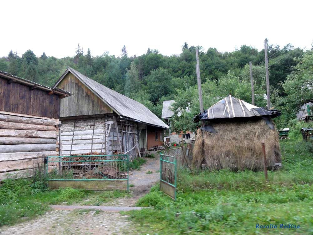 Каменка (Сколевский р-н)
