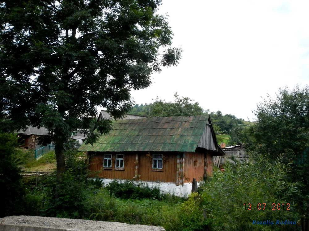 Каменка (Сколевский р-н)