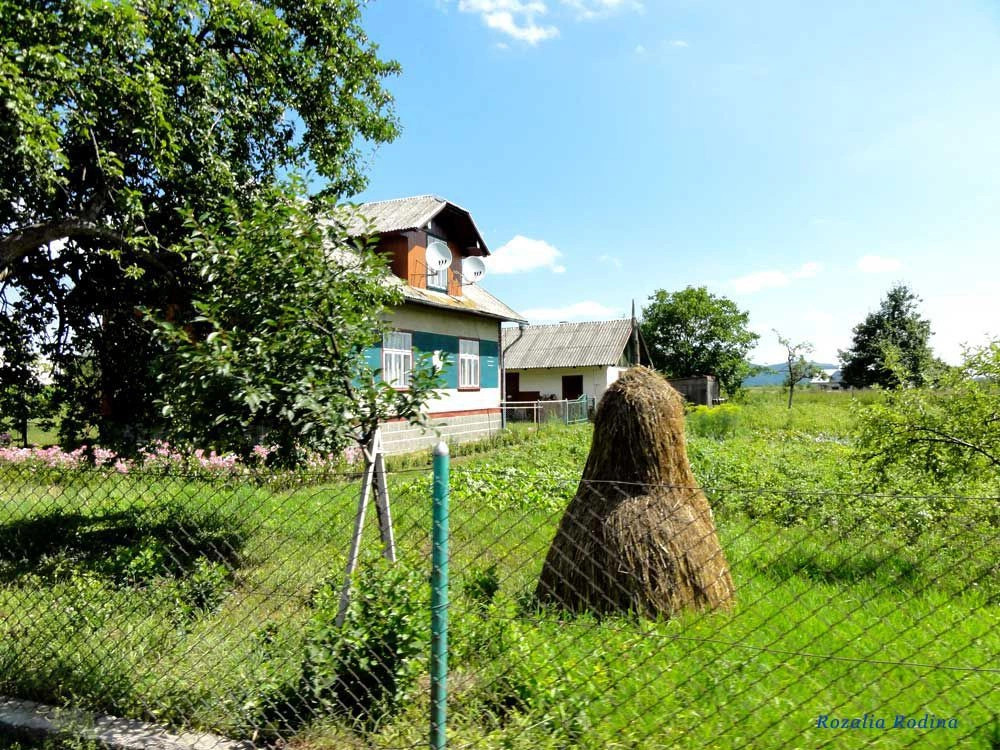 Корчин (Сколевский р-н)