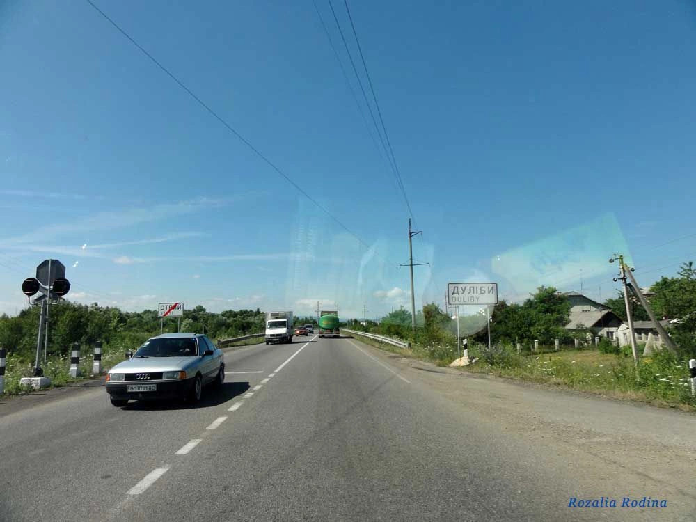 Дулибы (Стрыйский р-н)