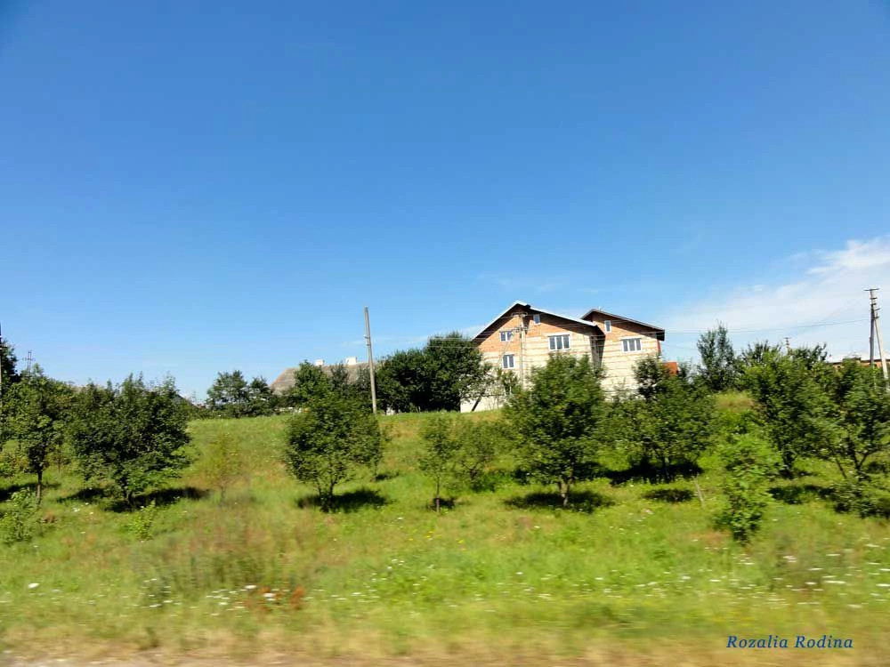 Дулибы (Стрыйский р-н)