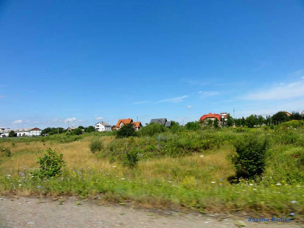 Дулибы (Стрыйский р-н)
