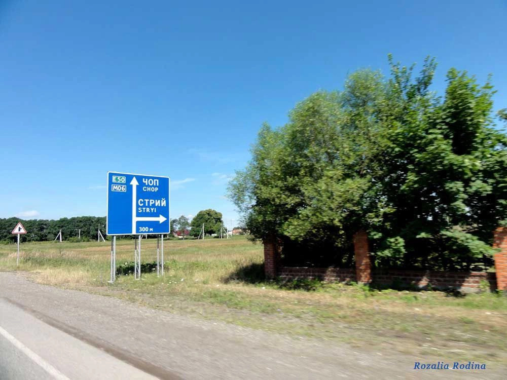Дулибы (Стрыйский р-н)