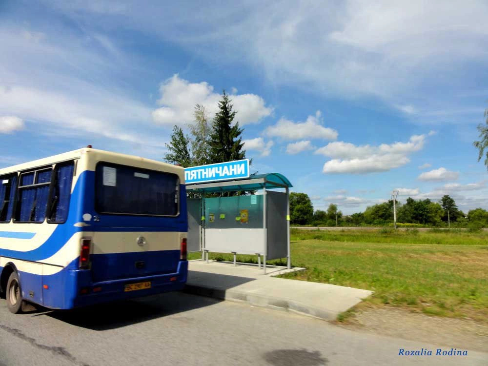 Стрыйский район