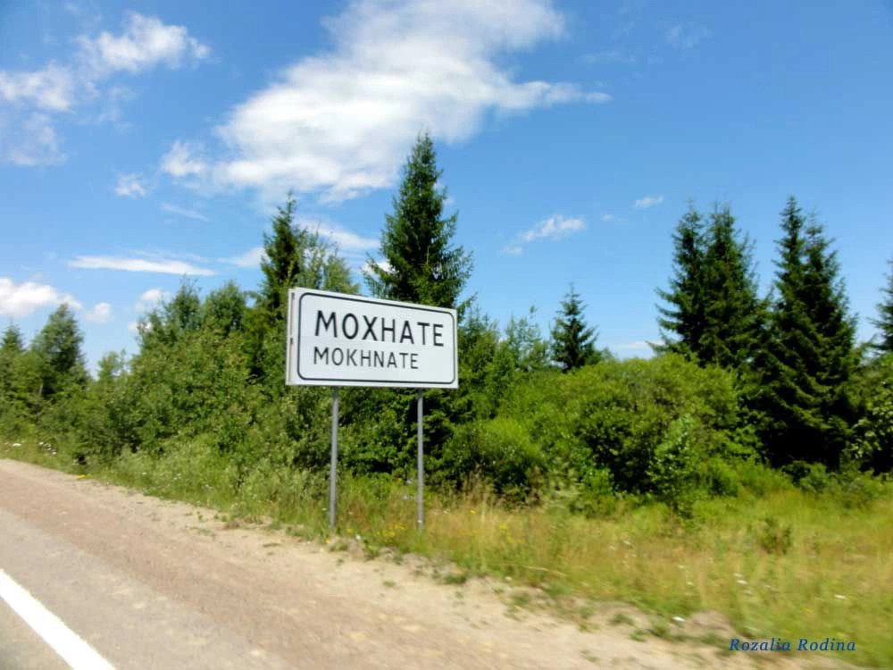 Турковский район