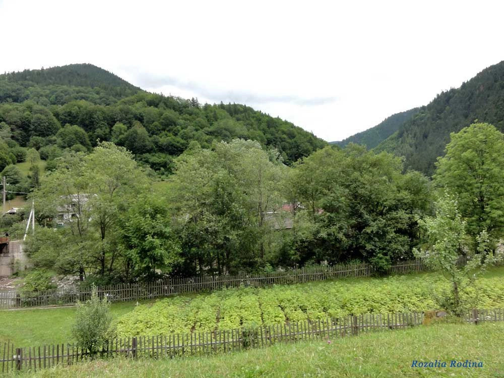 Кевелив