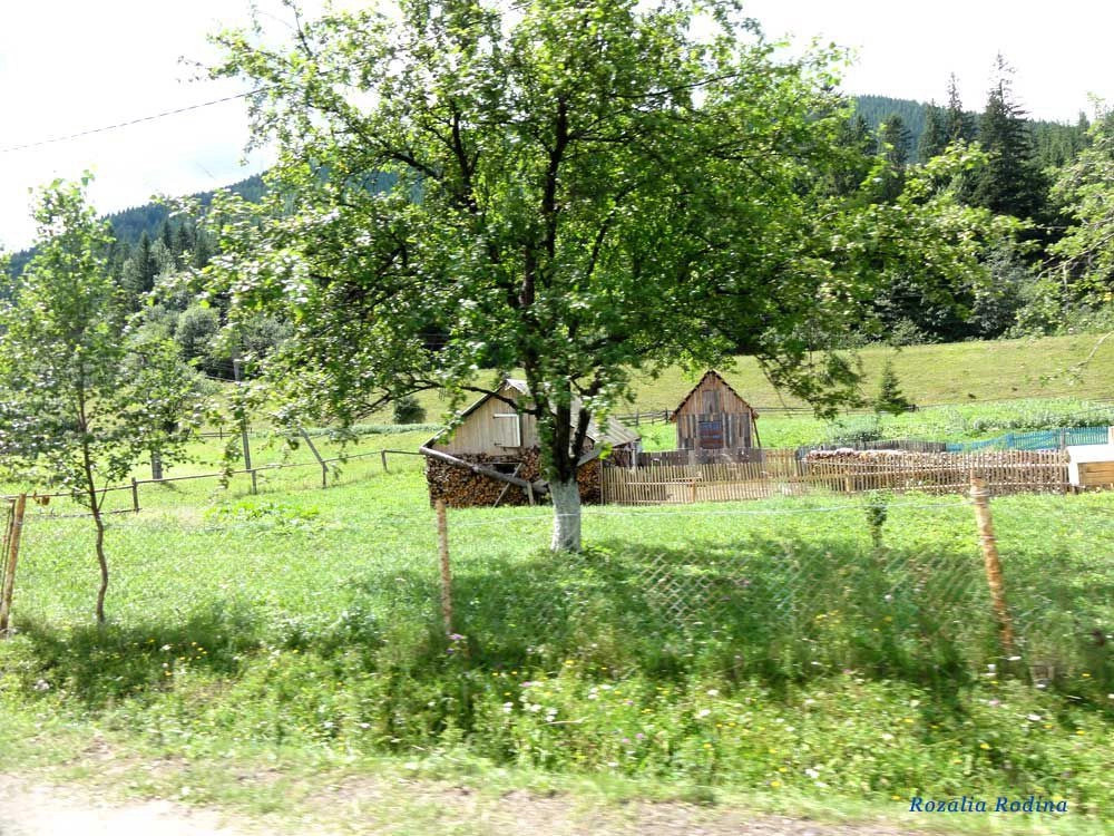 Вербовский (Татаров)