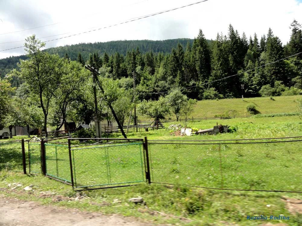 Вербовский (Татаров)