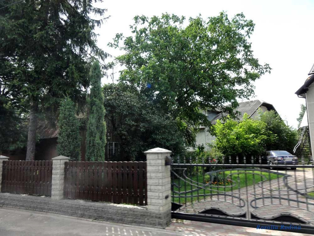 Хриплин