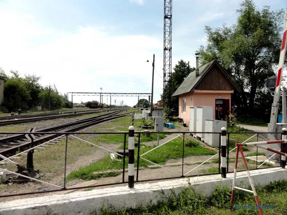 Хриплин