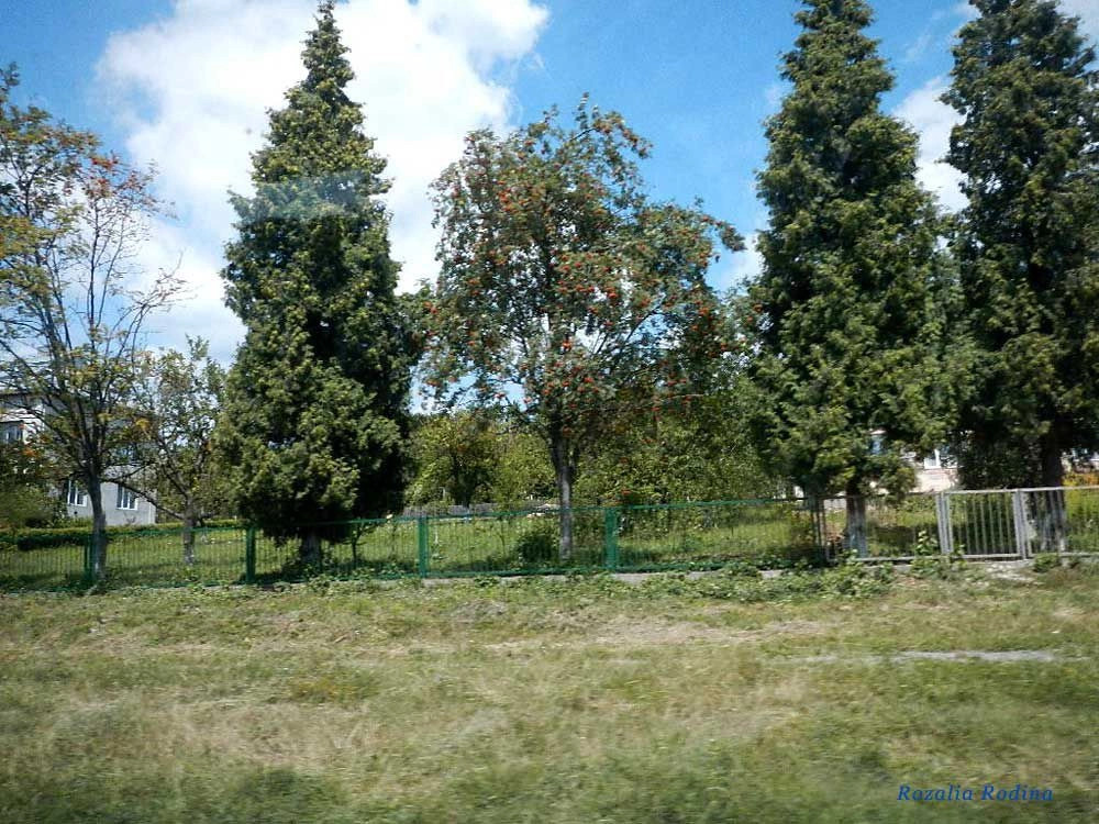 Хриплин
