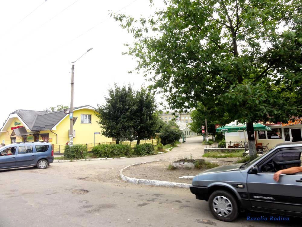 Никитинцы (И.Франковск)