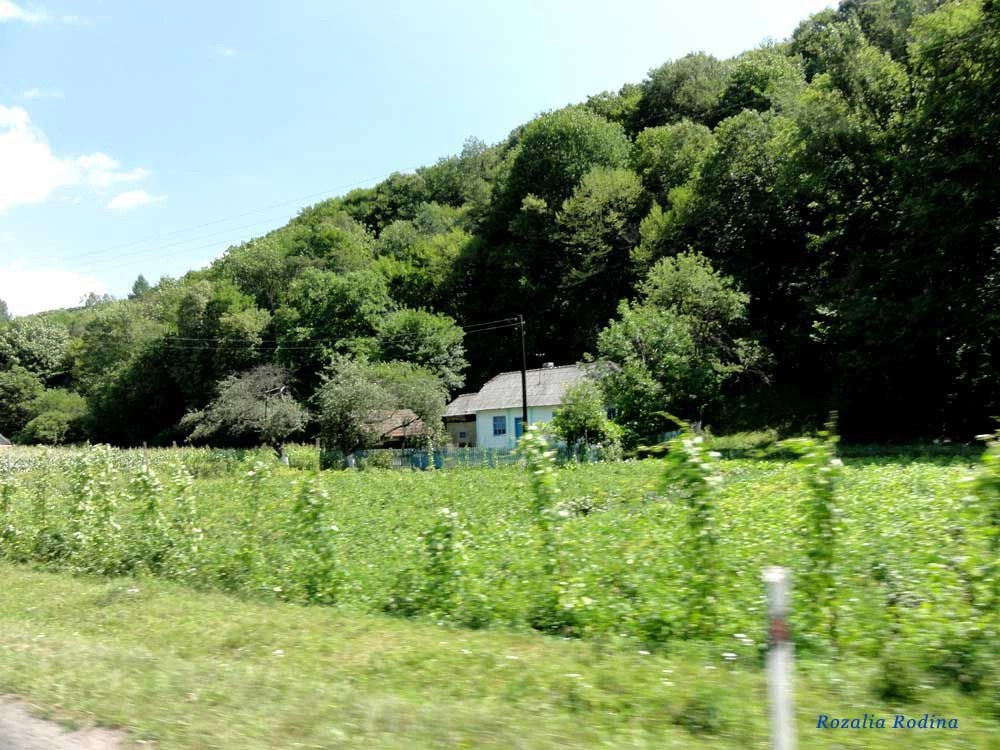 Добромышль