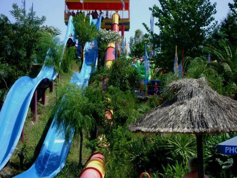 Парелия