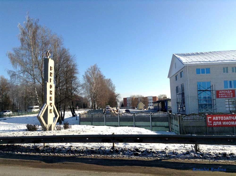 Выгоничский район