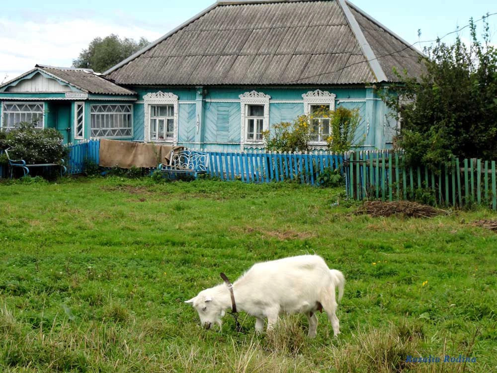 Выгоничский район