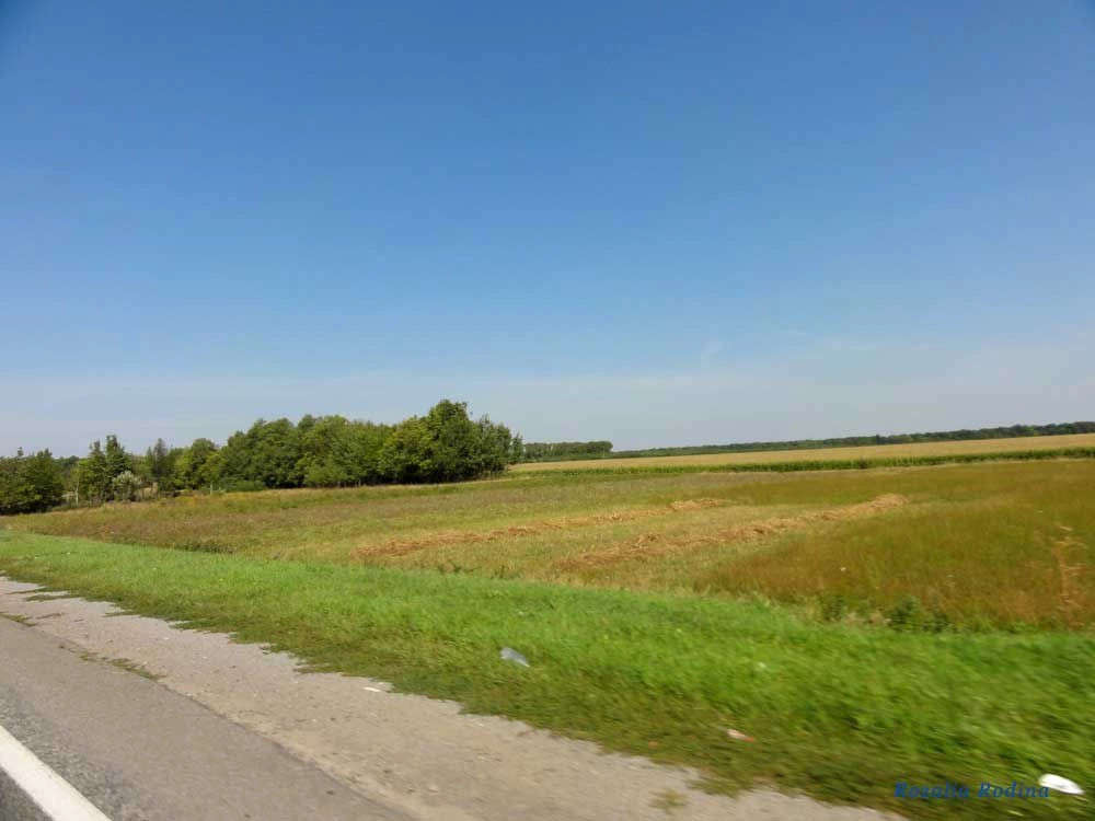 Винницкий район