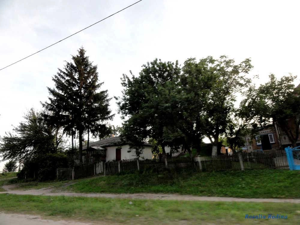 Жежелев