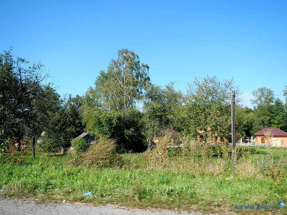 Жежелев