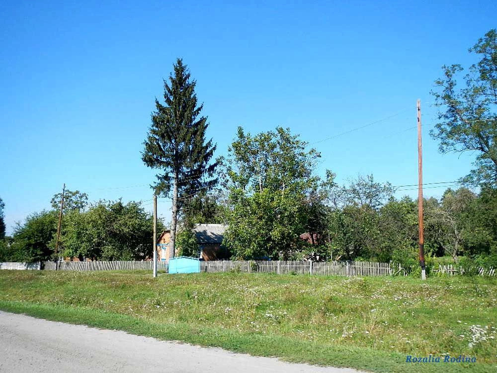 Жежелев
