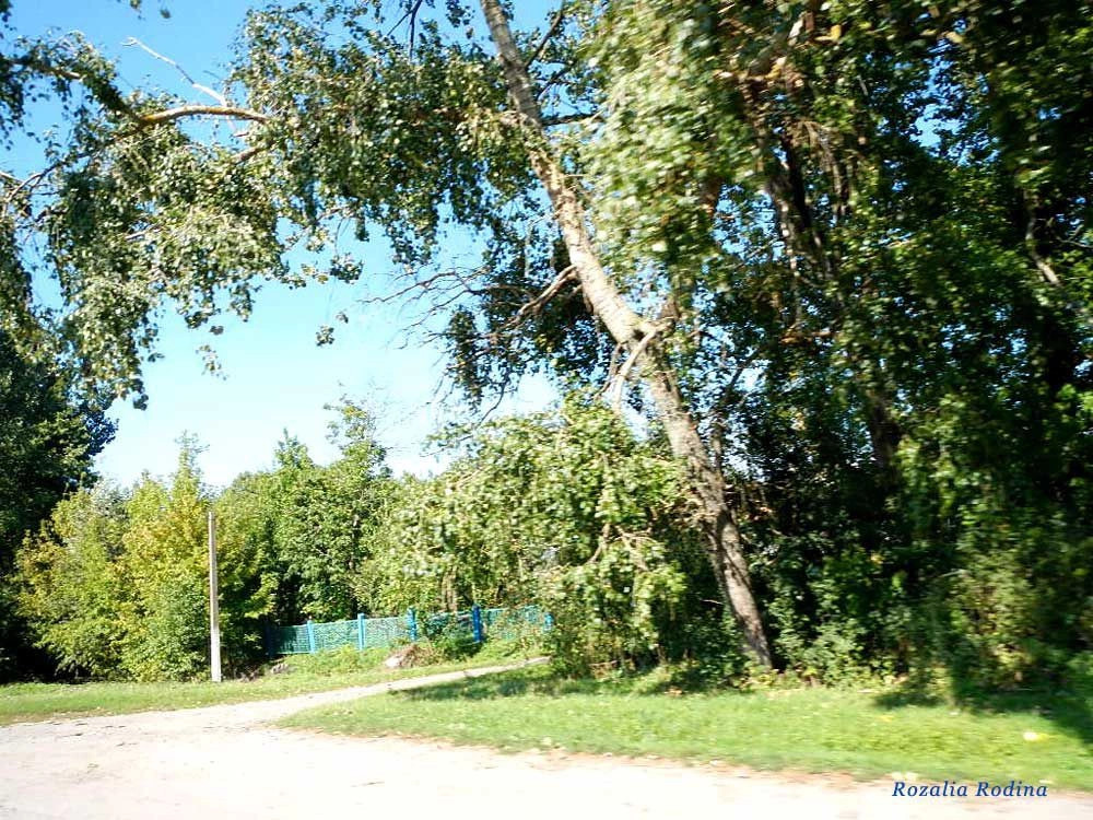 Жежелев