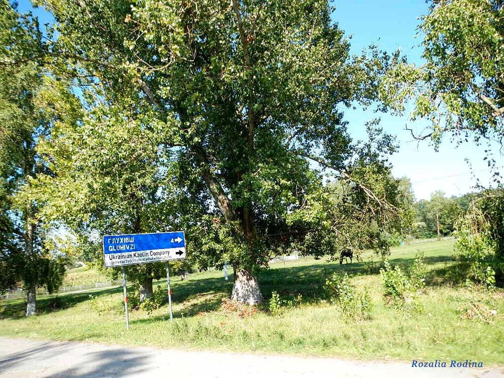 Жежелев
